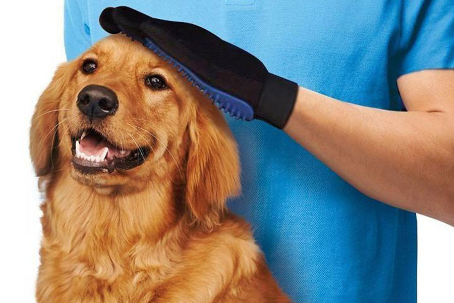 Pet Brush Glove